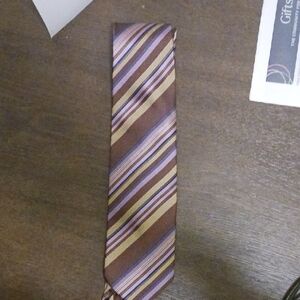 Elegant Multicolor Striped Tie